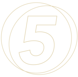 DE KUNST VAN HET KIJKEN - Kunstadvies Hanneke Janssen