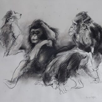 Ru van Rossem - Zonder titel (1) - Tekening Kunstadvies Hanneke Janssen